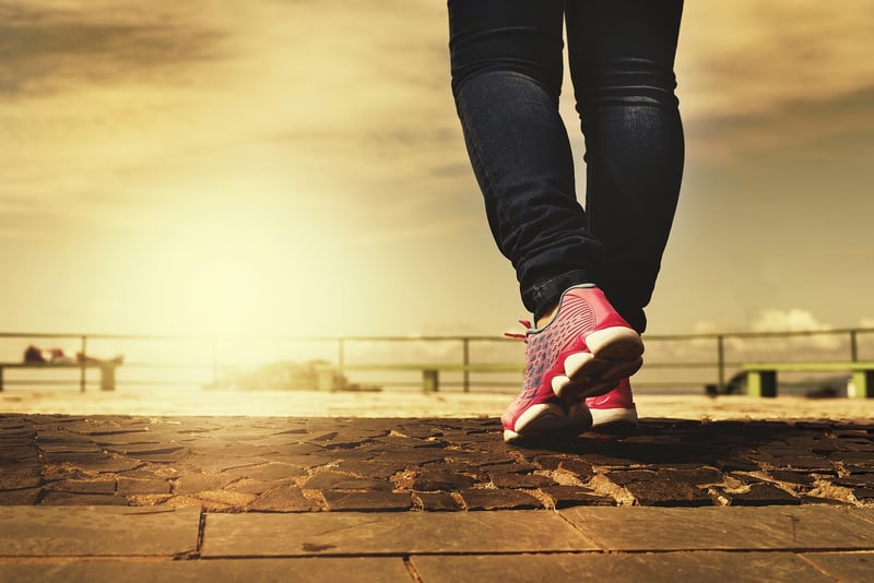 Mindful Walking Trails